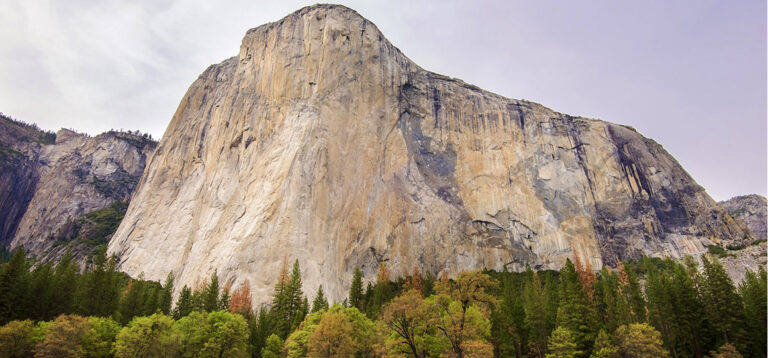 Vom Yosemite National Park zum besten Steak in Tracy: Ein Tag voller Highlights
