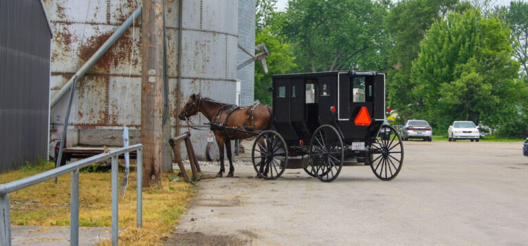 Bei den Amish People: Liebe, Handwerk und kulinarische Köstlichkeiten