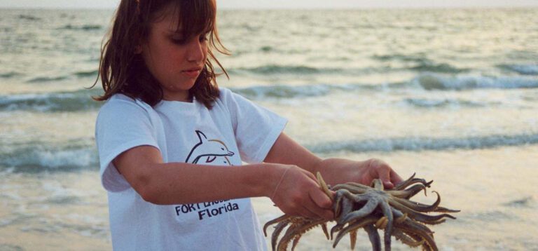 2000 – Zurück in Florida