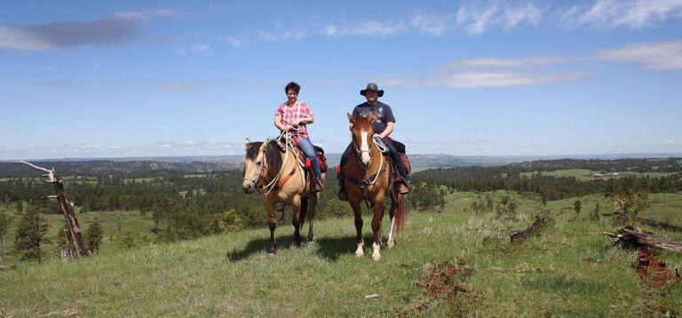 2010 – Von der Westküste zur Ostküste: Eine fantastische Reise quer durch die USA