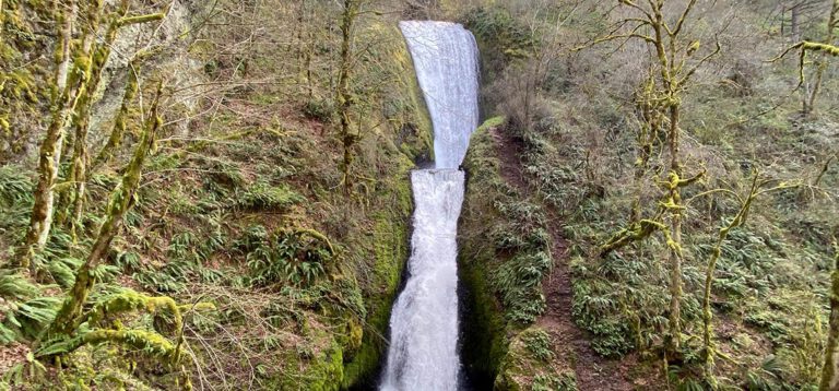 Entlang der Columbia River Gorge: Eine Reise voller atemberaubender Ausblicke