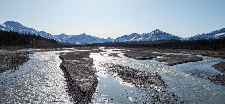 Alaska’s Aurora: Der Denali Park und das magische Polarlichtspektakel