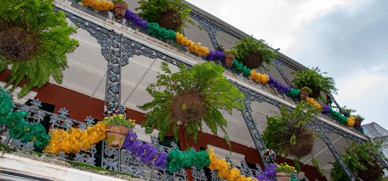 Magisches Mardi Gras Wochenende in New Orleans: Parade, Po’Boys und Party pur!