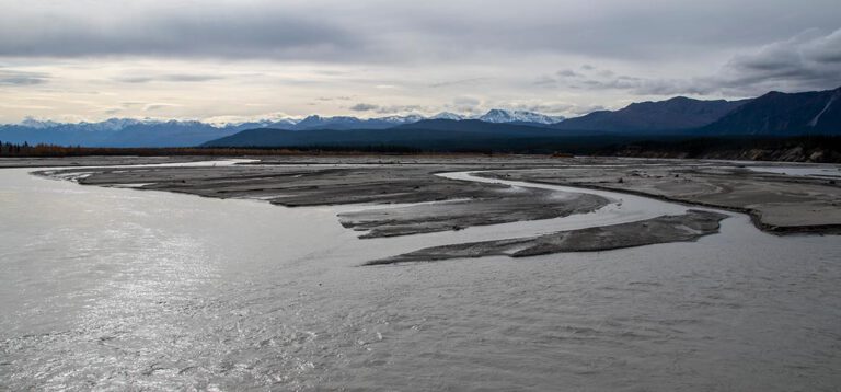 Die Haines Road – Die schönste Sackgasse der Welt und Bären am Chilkoot River