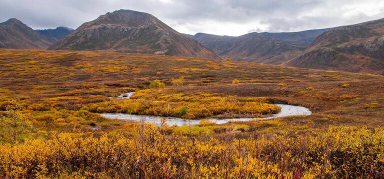 Von Talkeetna nach Anchorage: Zimtschnecken, Birkensirup und der malerische Hatcher Pass