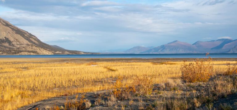 Die letzte Etappe unseres unvergesslichen Roadtrips durch Yukon und Alaska