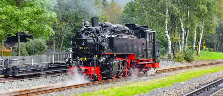 Mit dem Dampfzug und zu Fuß durch dasSächsische Elbsandsteingebirge