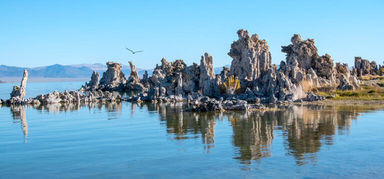 Magische Momente in der Natur: Durch den  Yosemite Nationalpark zur Mariposa Grove