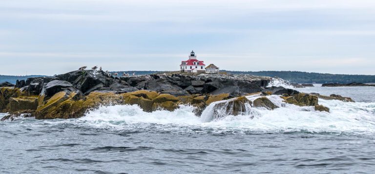 Highlight in  Maine: Wir stechen in See & lernen alles über Hummer bei der Lobster Fishing Tour