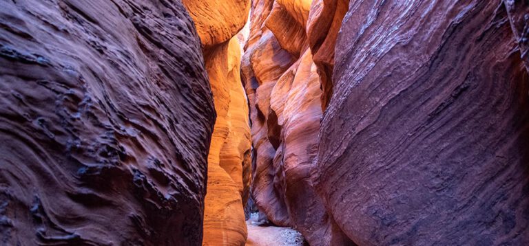 Vom Geheimtipp zum Hotspot – Wire Pass, Buckskin Gulch, Horseshoe Bend und Page