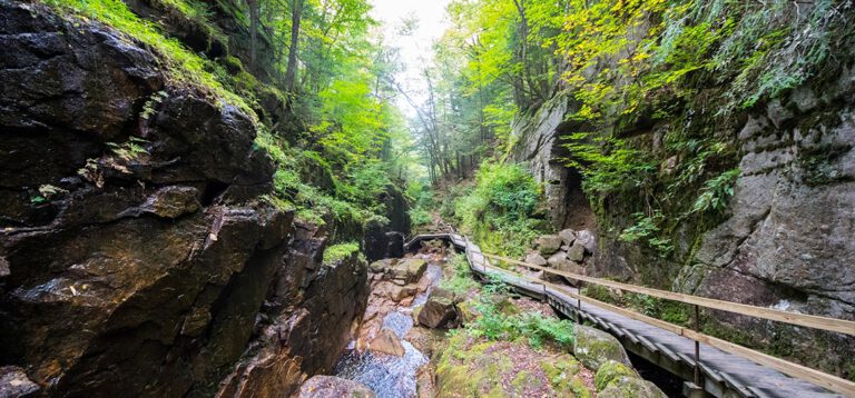 White Mountains: Buntes Herbstlaub, traumhafte Seen und spektakuläre Schluchten