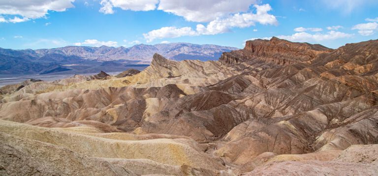 Rhyolite, Titus Canyon, Dino-Kacka und Super Bloom: Ein unvergesslicher Tag im Death Valley