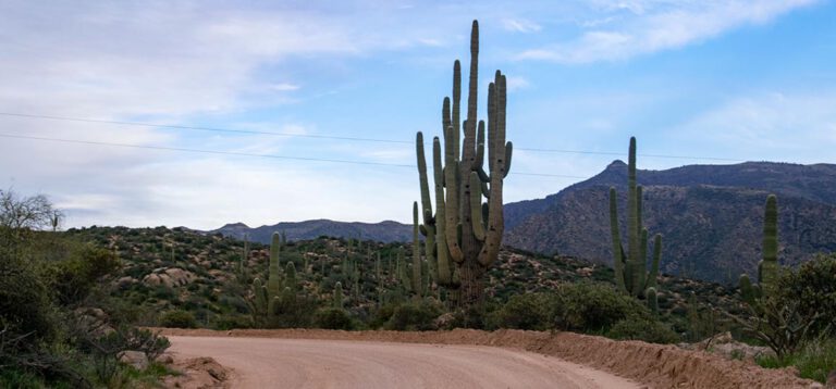 Von Sin City durch Phoenix und die Superstition Mountains nach Globe
