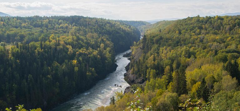 Von Steward über Kitwanga, Old Hazelton und Smithers bis hin nach Fort Telkwa