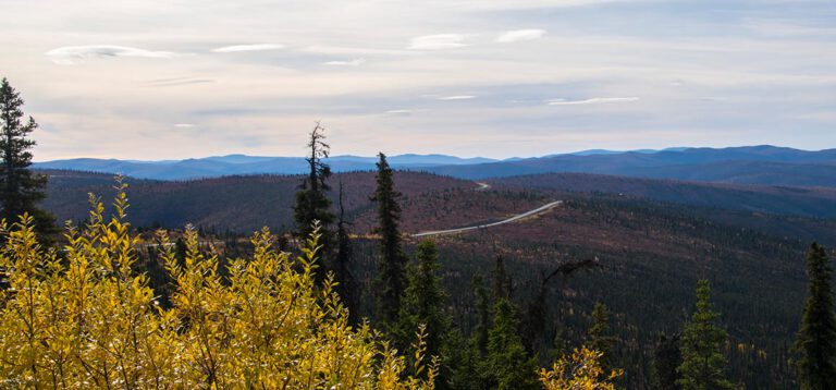Frühstück in Chicken, der Zauber des Top Of The World Highway und das reizende Dawson City