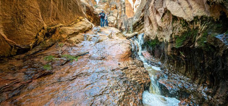 Vom Water Canyon über eine wilde Backroad in den Zion National Park