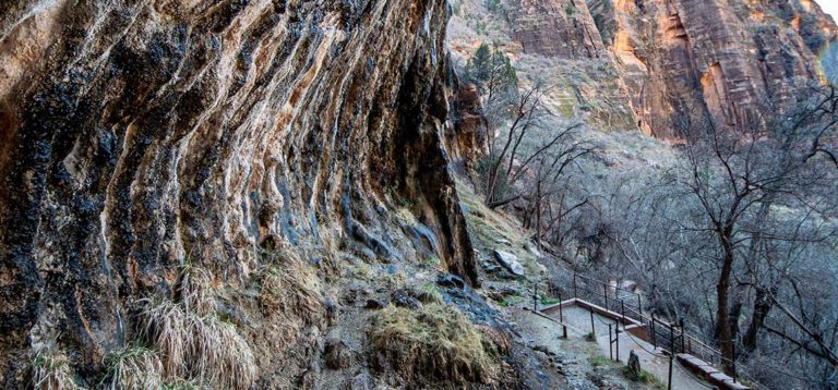 Von Roten Felsen zu den Stadtlichtern: Von Kanab nach St. George via Zion National Park