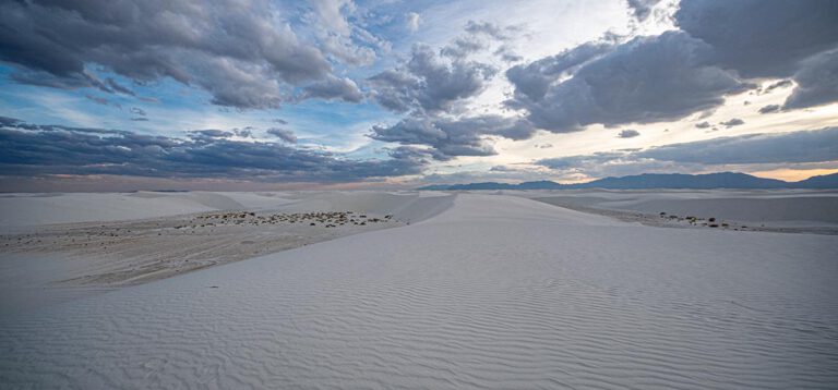 Von Ramsch bis Magie: Der Fox Mercado und das White Sands National Monument!