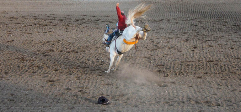 Von Bullenritten bis Lasso-Schnäppchen: Rodeo-Abenteuer in Cody