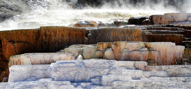 Naturspektakel Deluxe: Mammoth Hot Springs, Bisons & der Grand Canyon of Yellowstone