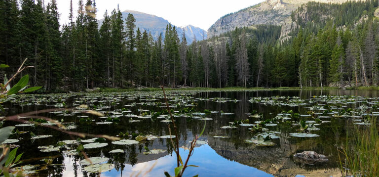 Trail-Magie: Ein Tag im Rocky Mountain National Park und Fahrt nach Rawlins