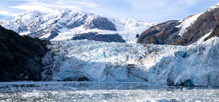 Whittier und Beyond: Gletscher und tierische Begegnungen auf einer unvergesslichen Crusie!