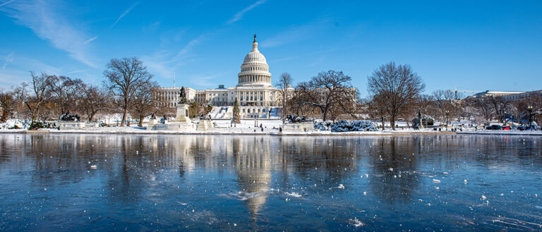 Washington, wir müssen reden – und zwar über Zäune, Schneeberge und sündhaft teure Cupcakes
