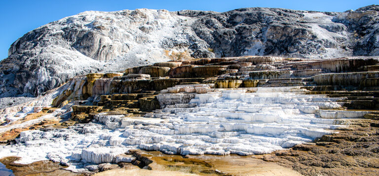 Dampfende Geysire und strahlende Kalkterrassen: Ein Tag voller Yellowstone-Magie
