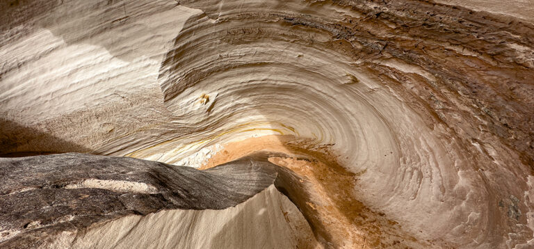 Erinnerungen nachstellen und neue schaffen: Die White Wave und die Toadstools