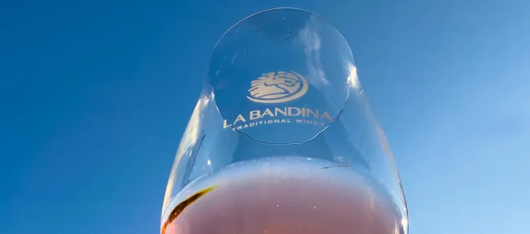 Essen und Trinken auf dem Weingut