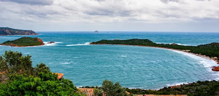 Von Pferdeschwänzen, Phantom-Flamingos und dem großen Geschirr-Geklapper