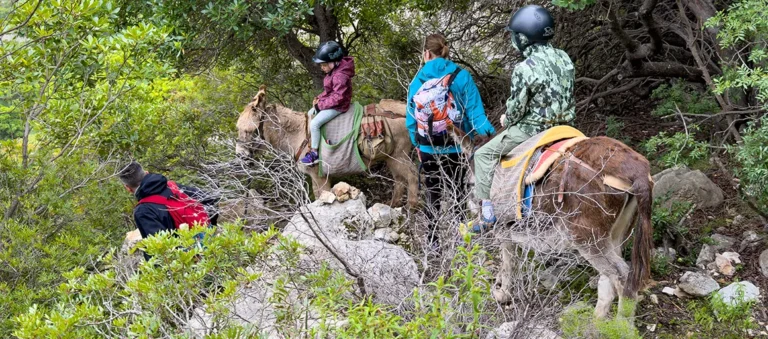 Esel-Express, Gipfel-Glück und die große sardische Völlerei