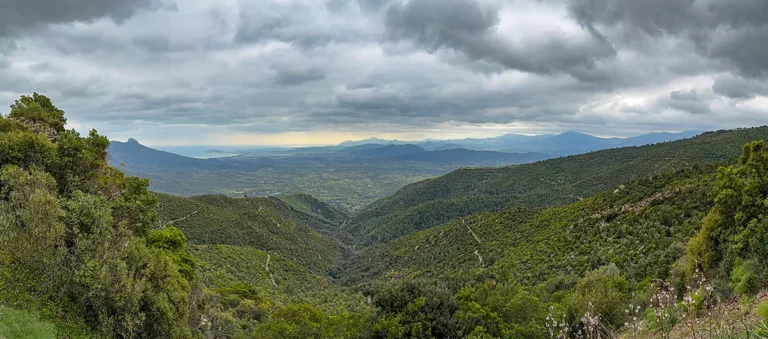 Nebel, Kühe, Ziegen, Suino Sardo – Die tierische Entschleunigung auf dem Weg nach Lotzorai