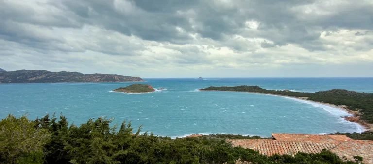 Von Pferdeschwänzen, Phantom-Flamingos und dem großen Geschirr-Geklapper