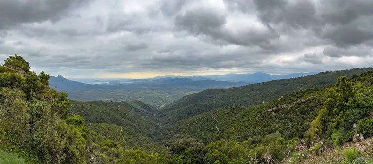 Die „Safari“ über die SS 125 – Nebelwände und tierische Wegelagerer